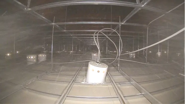天井下地調査写真